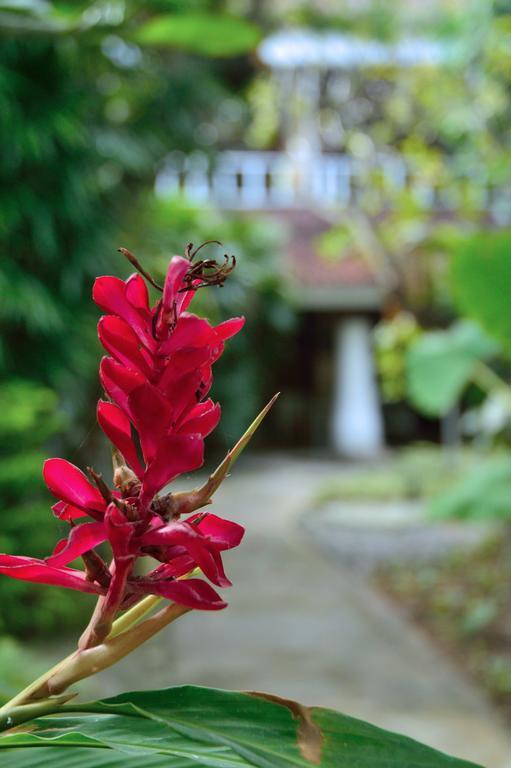 Desa Nyima Hotell Seminyak Eksteriør bilde